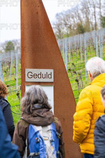 Visitors on a learning path in the vineyard, passing a sign 'patience', Jesus Grace Chruch, Weitblickweg, Easter hike, Hohenhaslach, Germany, Europe