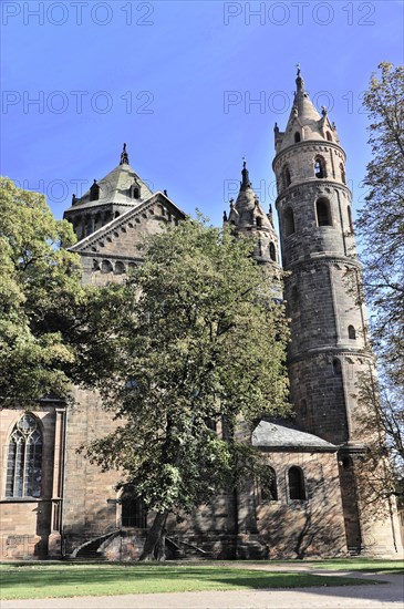 Speyer Cathedral, Speyer, side view of Worms Cathedral with trees and blue sky, Speyer Cathedral, Unesco World Heritage Site, foundation stone laid around 1030, Speyer, Rhineland-Palatinate, Germany, Europe