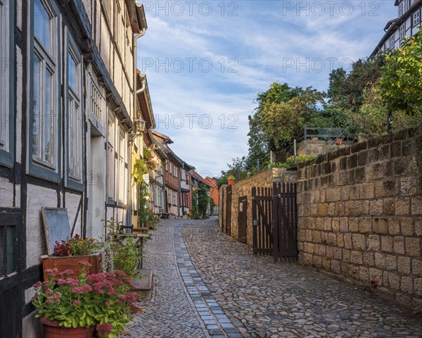 Narrow alley with half-timbered houses and cobblestones on the castle hill in the historic old town, UNESCO World Heritage Site, Quedlinburg, Saxony-Anhalt, Germany, Europe