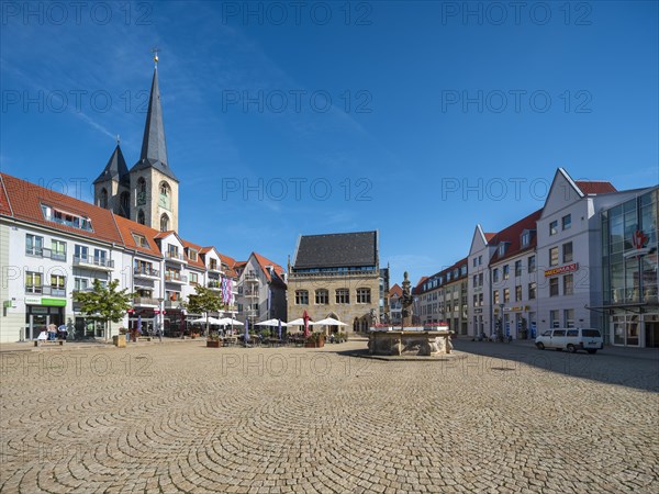 The Holzmarkt with St Martin's Church, town hall and Holzmarkt fountain, Halberstadt, Saxony-Anhalt, Germany, Europe