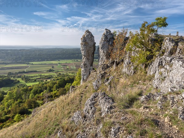 Wiesenthauer Nadel rock formation on the Ehrenbuerg witness mountain, also known as Walberla, Veldensteiner Forst nature park Park, Forchheim, Upper Franconia, Franconian Switzerland, Bavaria, Germany, Europe