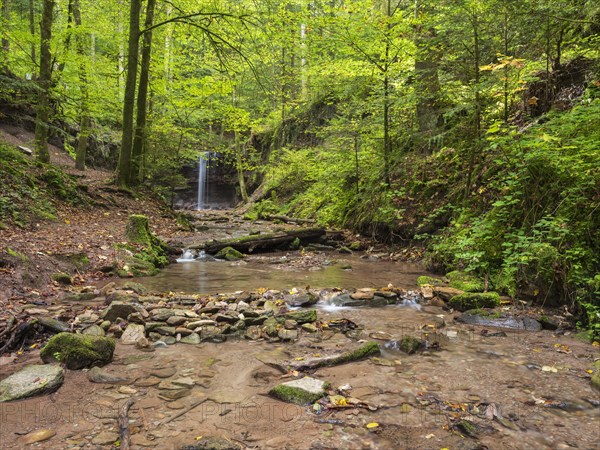 Small waterfall at Hoerschbach, Hoerschbach Valley, Swabian-Franconian Forest nature park Park, Murrhardt, Baden-Wuerttemberg, Germany, Europe