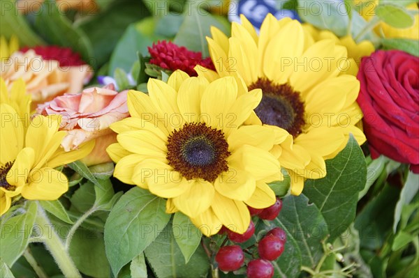 Marseille, Colourful bouquet with bright sunflowers and roses, Marseille, Departement Bouches-du-Rhone, Region Provence-Alpes-Cote d'Azur, France, Europe