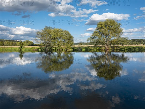 Summer in the Saatal near Naumburg, trees are reflected in the river Saale under a blue sky with clouds, Naumburg, Saxony-Anhalt, Germany, Europe