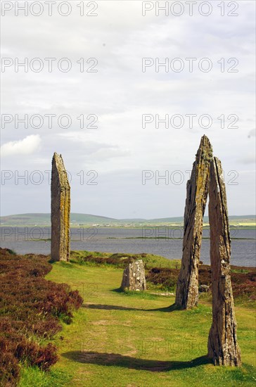 Standing stones from the Stone Age on a green meadow, Unesco World Heritage Site, Ring of Brodgar, Stromness, Orkney Islands, Scotland, UK