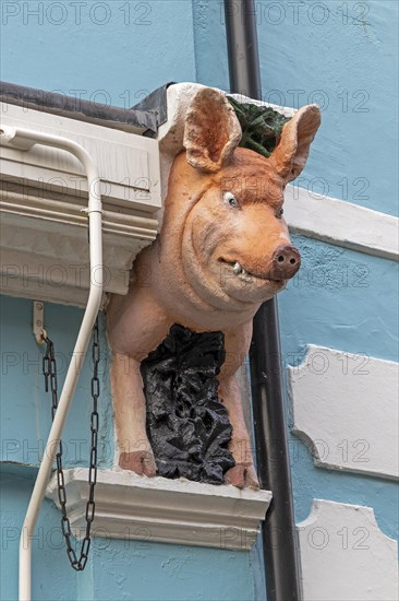 Pig's head on house wall, harbour, Folkestone, Kent, Great Britain