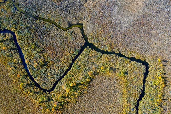 Aerial view over moorland in autumn, fall at Hedmark, Innlandet, Eastern Norway