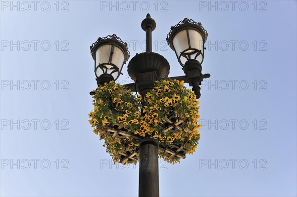 Granada, lamppost decorated with a wreath of yellow flowers against a blue sky, Granada, Andalusia, Spain, Europe