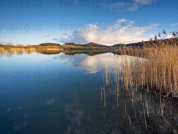 Lake with reeds in the evening light, Veste Wachsenburg is reflected, castle of the Drei Gleichen castle ensemble, Thuringian Burgenland, Muehlberg, Thuringia, Germany, Europe