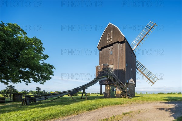 Haedicke mill, windmill, trestle windmill, Brehna, Saxony-Anhalt, Germany, Europe