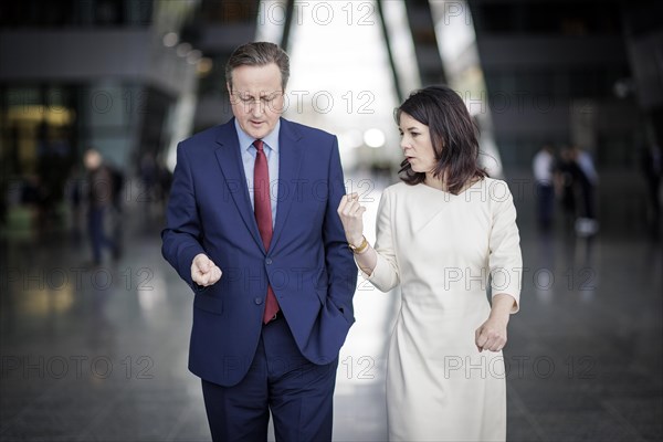 (R-L) Annalena Baerbock, Federal Foreign Minister, meets David Cameron, Secretary of State for Foreign, Commonwealth and Development of the United Kingdom of Great Britain and Northern Ireland, for talks on the margins of the NATO Foreign Ministers' Meeting. Brussels, 03.04.2024. Photographed on behalf of the Federal Foreign Office