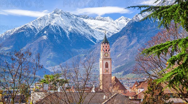 Tower of the parish church with the peak 3006m in the Texel Group in spring, Merano, Val Passiria, Val d'Adige, Burggrafenamt, Alps, South Tyrol, Trentino-South Tyrol, Italy, Europe