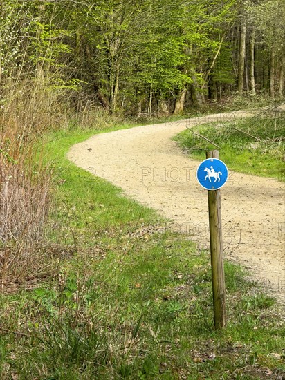 Sign for riders in front of designated signposted bridle path with soft sandy ground leading through mixed forest in spring, Germany, Europe