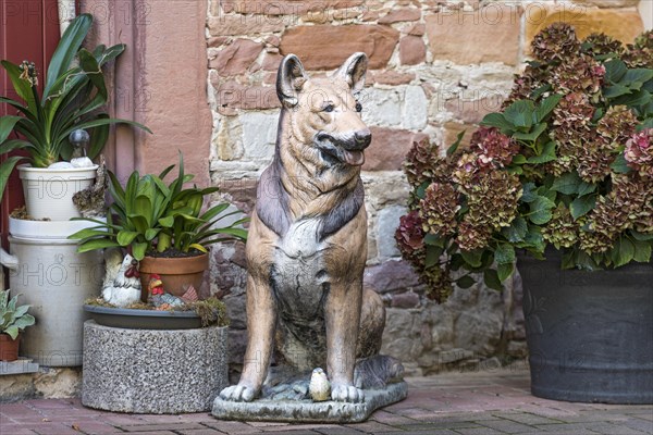 Decoration at entrance door, dog figure German Shepherd, guard dog, idyllic alley, old town, Ortenberg, Vogelsberg, Wetterau, Hesse, Germany, Europe