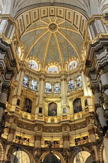 Santa Maria de la Encarnacion, Cathedral of Granada, Magnificent gold-decorated dome inside a baroque cathedral, Granada, Andalusia, Spain, Europe