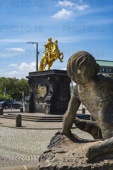 Golden Horseman, equestrian statue of the Saxon Elector and King of Poland, Augustus the Strong at Neustaedter Markt in Dresden, Saxony, Germany, Europe