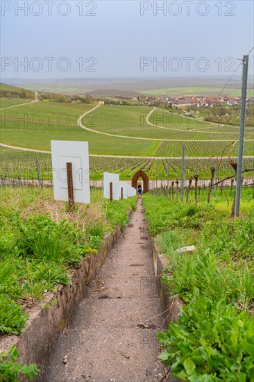 A path leads through vineyards with outdoor artworks and a view of a village in the valley, Jesus Grace Chruch, Weitblickweg, Easter hike, Hohenhaslach, Germany, Europe