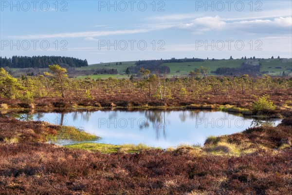 Black bog, bog eye, Rhoen Biosphere Reserve, Bischofsheim in der Rhoen, Lower Franconia, Rhoen, Bavarian Rhoen, Bavaria, Germany, Europe