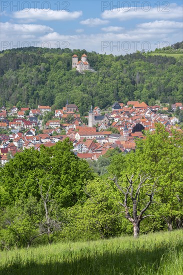 View of the town of Treffurt in the Werra Valley and Normannstein Castle, Treffurt, Thuringia, Germany, Europe