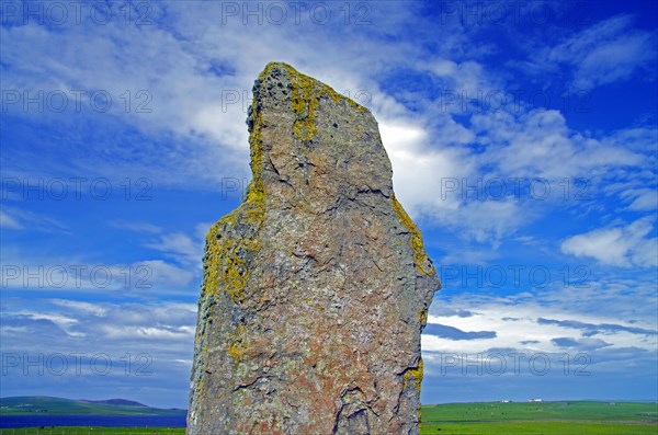 Standing stones from the Stone Age on a green meadow, Unesco World Heritage Site, Ring of Brodgar, Stromness, Orkney Islands, Scotland, UK