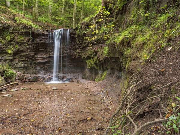 Small waterfall at Hoerschbach, Hoerschbach Valley, Swabian-Franconian Forest nature park Park, Murrhardt, Baden-Wuerttemberg, Germany, Europe