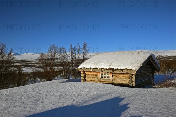 Log cabin in the evening light in the snow, Dovrefjell Sunndalsfjella National Park, Norway, Europe