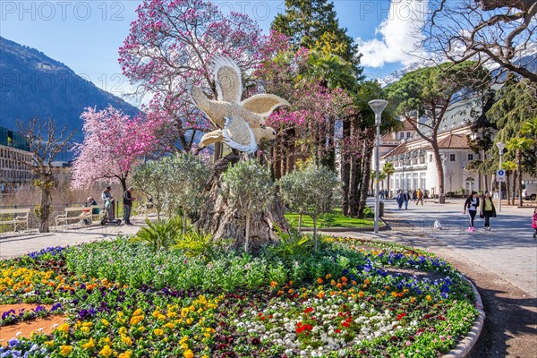 Flower border on the spa promenade in spring, Merano, Val Passiria, Val d'Adige, Burggrafenamt, Alps, South Tyrol, Trentino-Alto Adige, Italy, Europe
