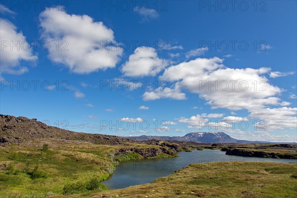 View over the shallow lake Myvatn in summer, Norourland eystra, Nordurland eystra in the north of Iceland