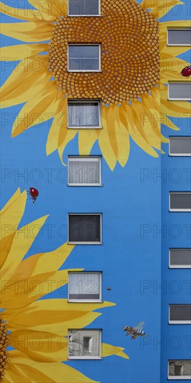 Sunflower house, painted sunflower and beetle on a skyscraper, artist Ulrich Allgaier, Wuppertal, North Rhine-Westphalia, Germany, Europe