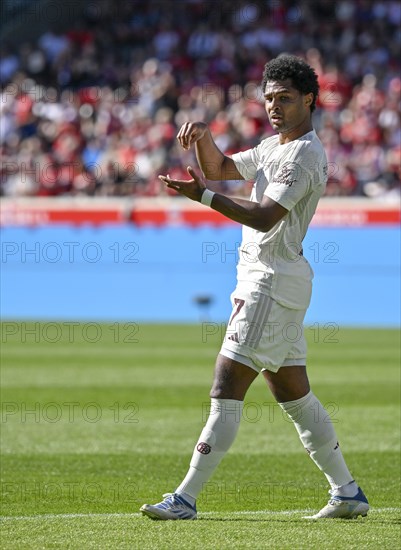 Goal celebration, cheering, Serge Gnabry FC Bayern Muenchen FCB gesture, gesture, turn cup, (07) Voith-Arena, Heidenheim, Baden-Wuerttemberg, Germany, Europe