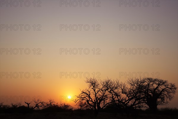 Landscape, Limpopo, South Africa, Africa