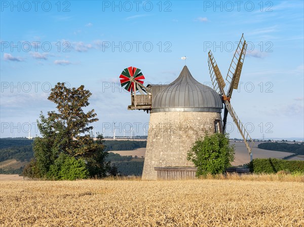 Windmill stands in the middle of a ripe grain field under a partly cloudy blue sky, mill, tower windmill, Tultewitz, Saxony-Anhalt, Germany, Europe