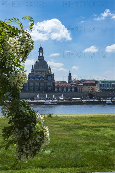 Church of Our Lady and Bruehl's Terrace seen from the opposite bank of the Elbe, Dresden, Saxony, Germany, Europe