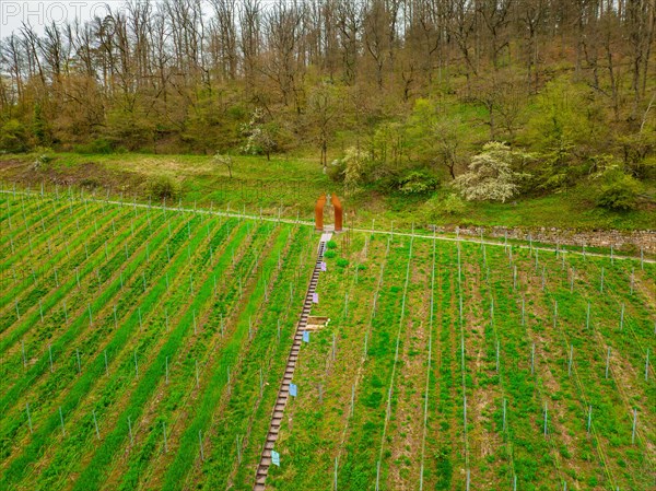 Visitors view art objects in a living green vineyard, Jesus Grace Chruch, Weitblickweg, Easter hike, Hohenhaslach, Germany, Europe