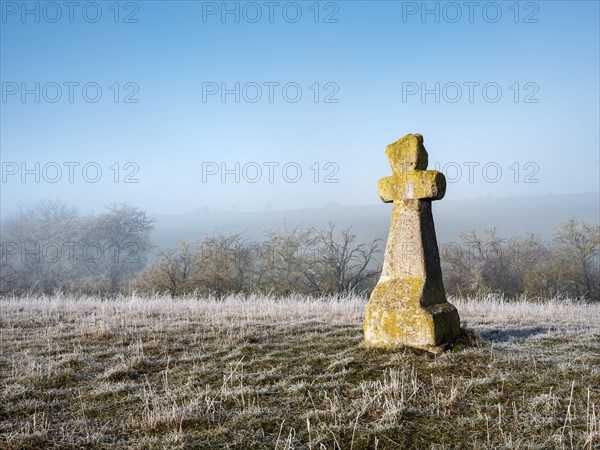 Medieval stone cross in hoarfrost and fog in winter, murder cross, atonement cross, Freyburg (Unstrut), Saxony-Anhalt, Germany, Europe