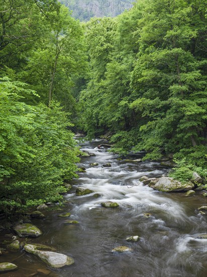 The River Bode with rapids and boulders in the Bode Valley between Thale and Treseburg, Harz National Park, Thale, Saxony-Anhalt, Germany, Europe