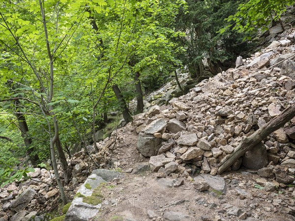 Landslide, mudflow, landslide, rockfall, buried hiking trail in the Bode Valley between Thale and Treseburg, Harz National Park, Thale, Saxony-Anhalt, Germany, Europe