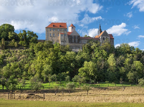 Goseck Castle in the Saale Valley, Goseck, Burgenlandkreis, Saxony-Anhalt, Germany, Europe