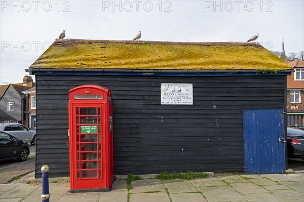 Red former telephone box, shed, seagulls, harbour, Folkestone, Kent, Great Britain