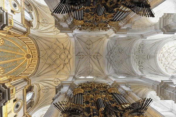 Organ, Cathedral of Santa Maria de la Encarnacion, Cathedral of Granada, Magnificent vaulted church ceiling design with symmetrical patterns and organ pipes, Granada, Andalusia, Spain, Europe