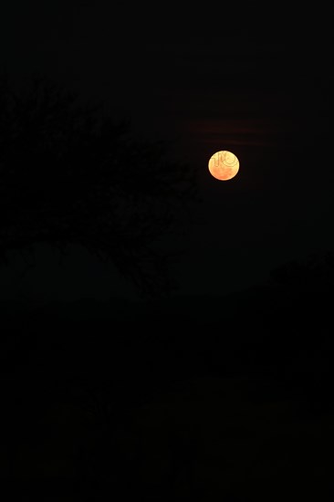 Blood moon, South Africa, Africa