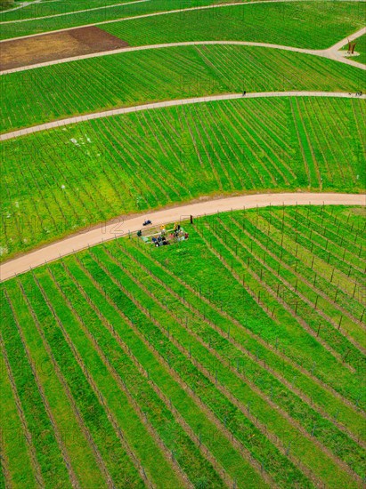 Aerial view of a winding country road meandering through green agricultural fields, Jesus Grace Chruch, Weitblickweg, Easter hike, Hohenhaslach, Germany, Europe