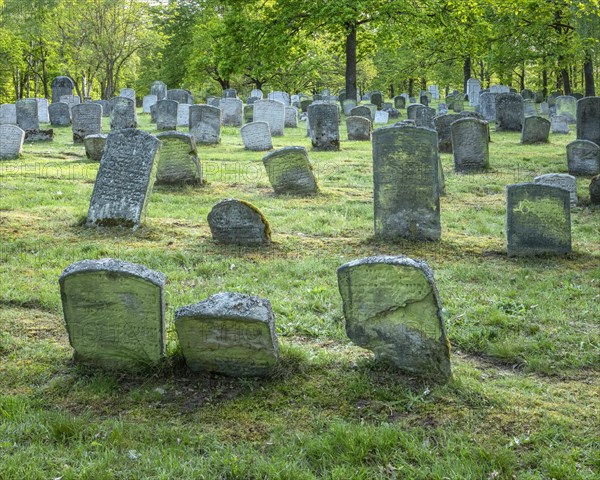 Old Jewish cemetery on the Judenhuegel near Kleinbardorf, municipality of Sulzfeld, Hassberge, Rhoen-Grabfeld, Lower Franconia, Bavaria, Germany, Europe