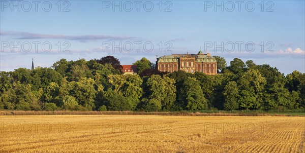 View over stubble field to Burgscheidungen Castle in the evening light, Unstruttal, Burgenlandkreis, Saxony-Anhalt, Germany, Europe