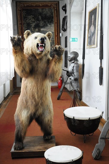 Langenburg Castle, scene view in the museum with stuffed bear and armour, Langenburg Castle, Langenburg, Baden-Wuerttemberg, Germany, Europe