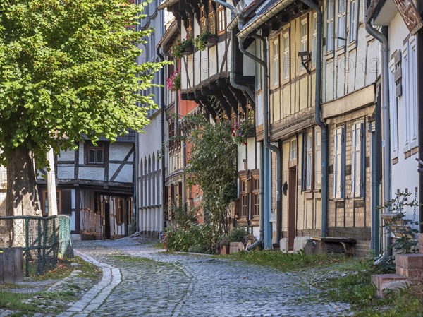 Narrow alley with half-timbered houses and cobblestones in the historic old town, UNESCO World Heritage Site, Quedlinburg, Saxony-Anhalt, Germany, Europe