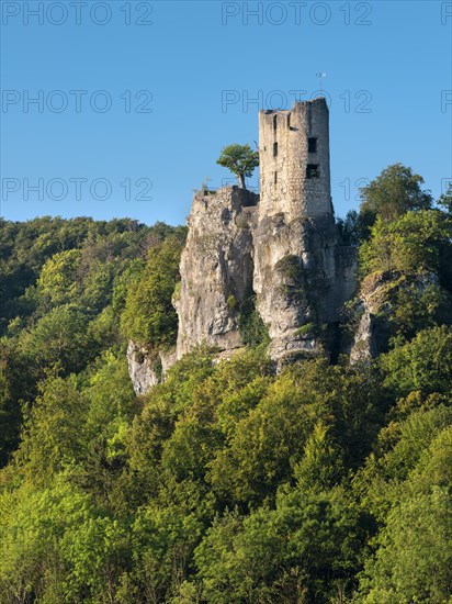 Neideck castle ruins in the Wiesenttal valley, landmark of Franconian Switzerland, Franconian Switzerland, Franconia, Bavaria, Germany, Europe