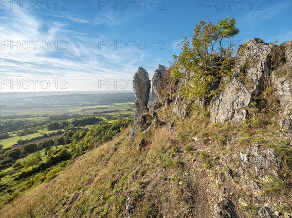 Wiesenthauer Nadel rock formation on the Ehrenbuerg witness mountain, also known as Walberla, Veldensteiner Forst nature park Park, Forchheim, Upper Franconia, Franconian Switzerland, Bavaria, Germany, Europe