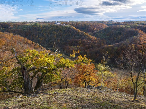 View over autumnal forests in the Selke valley, behind Falkenstein Castle, Harz Mountains, Saxony-Anhalt, Germany, Europe