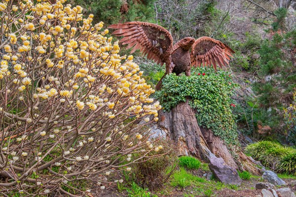 Spring blossom with eagle sculpture on the Gilf promenade, Merano, Val Passiria, Adige Valley, Burggrafenamt, Alps, South Tyrol, Trentino-Alto Adige, Italy, Europe